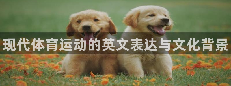 意昂4官网