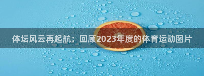 意昂4体育游戏