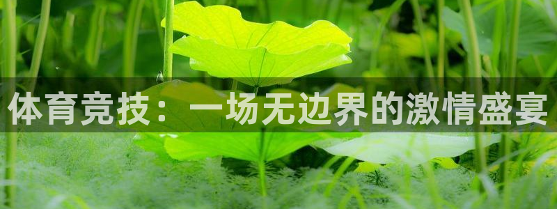 意昂4体育免费注册入口