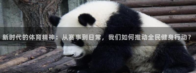 意昂4平台