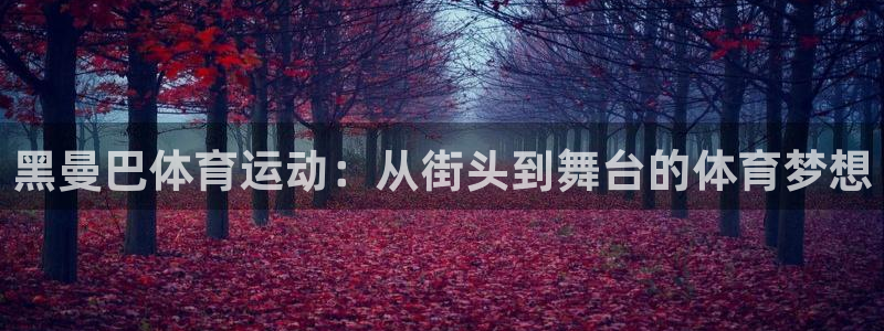 意昂4招商
