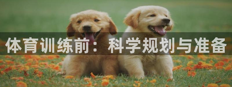意昂43登录