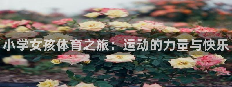 意昂4平台开户链接