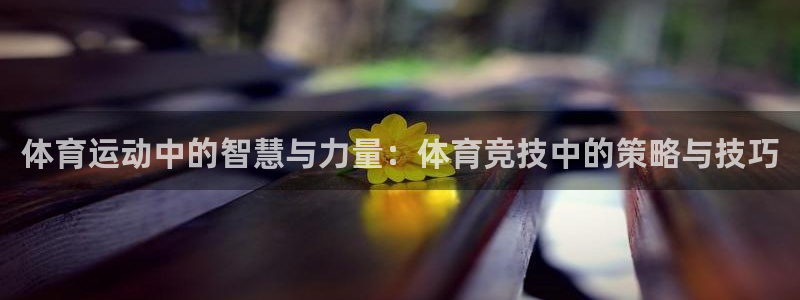 意昂4体育凯捷代理注册