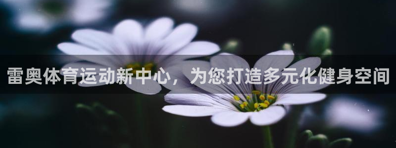 意昂4登录