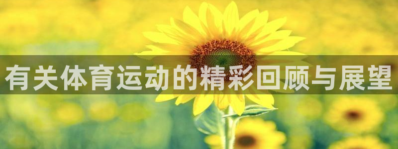 意昂4凯捷注册
