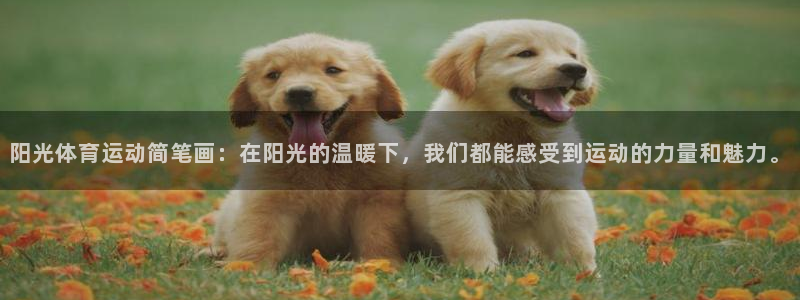 意昂4体育代理
