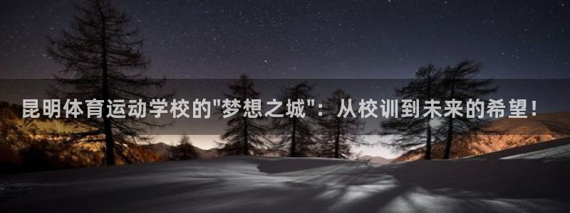 意昂4赋能艺术