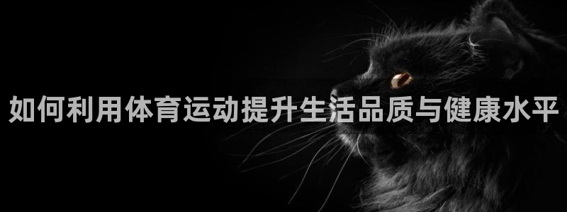 意昂4主管